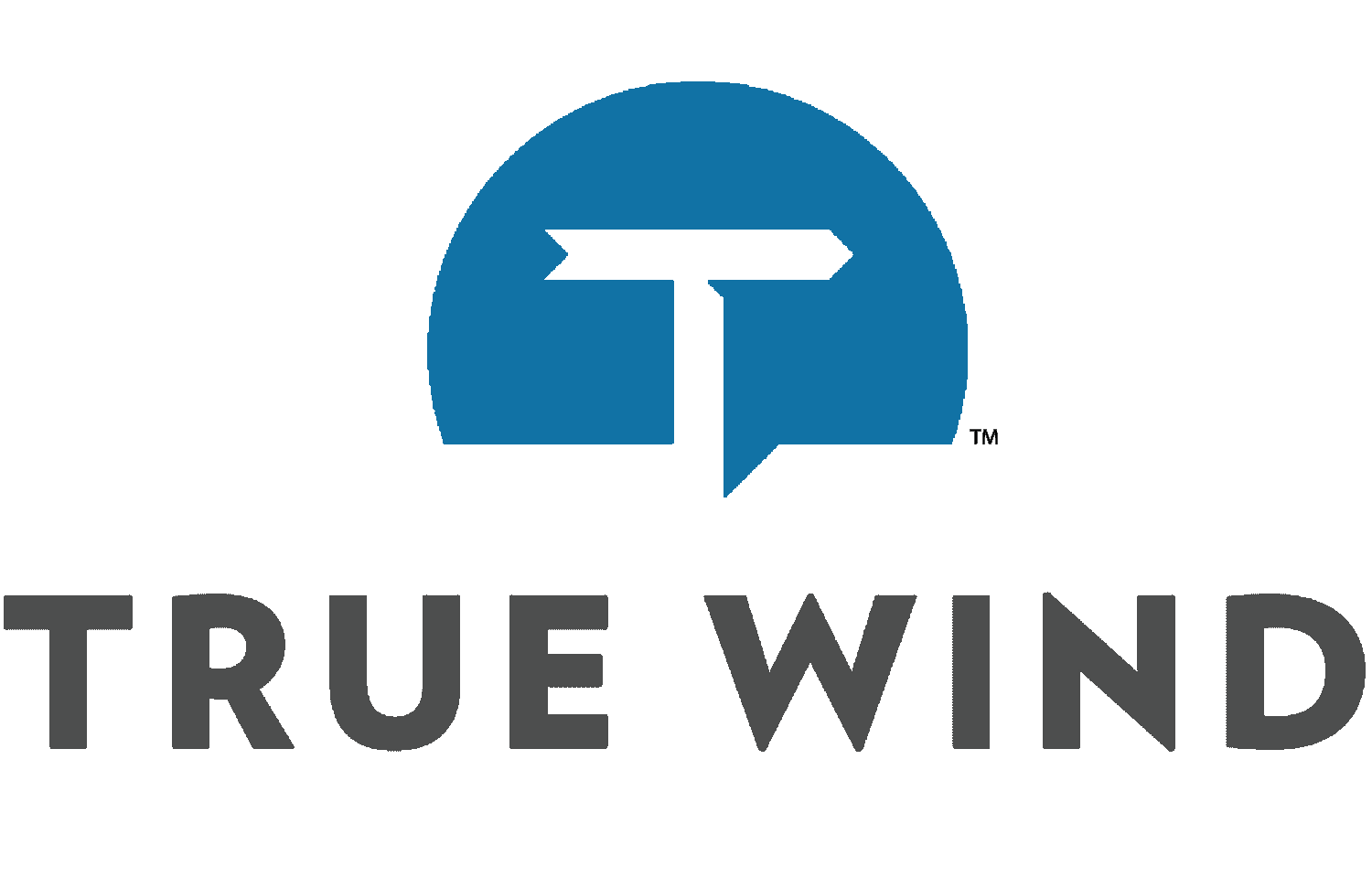True Wind Logo
